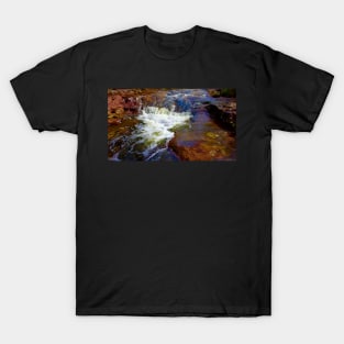 Water Flowing in the Creek! T-Shirt